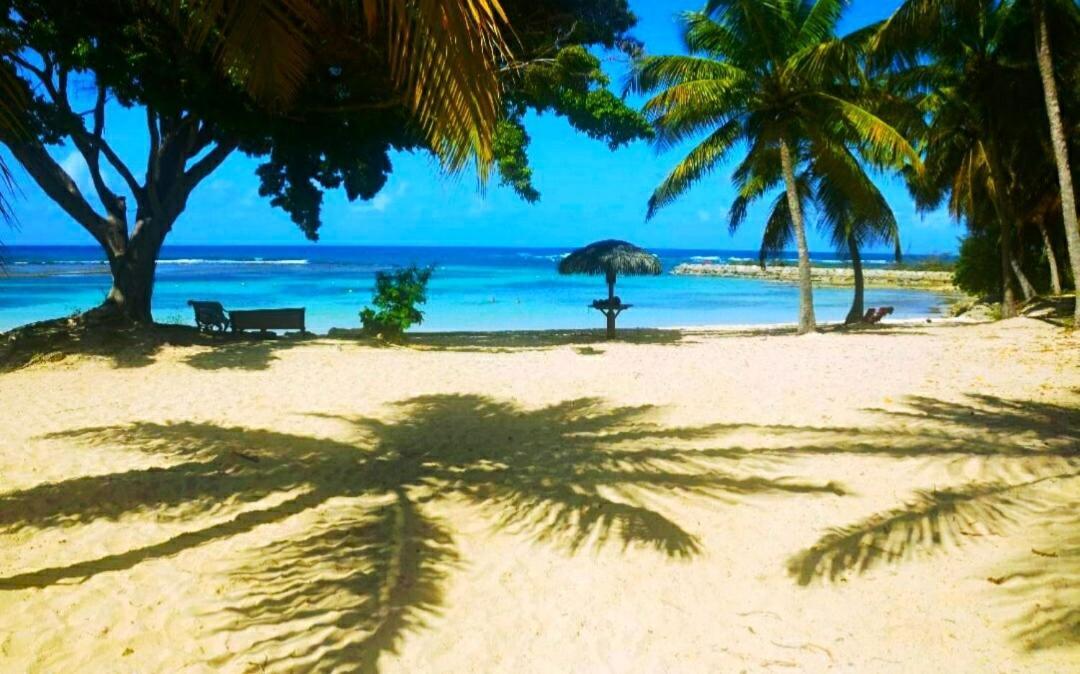 Le Ti'Paradise Anse Des Rochers Belle-Allee Экстерьер фото