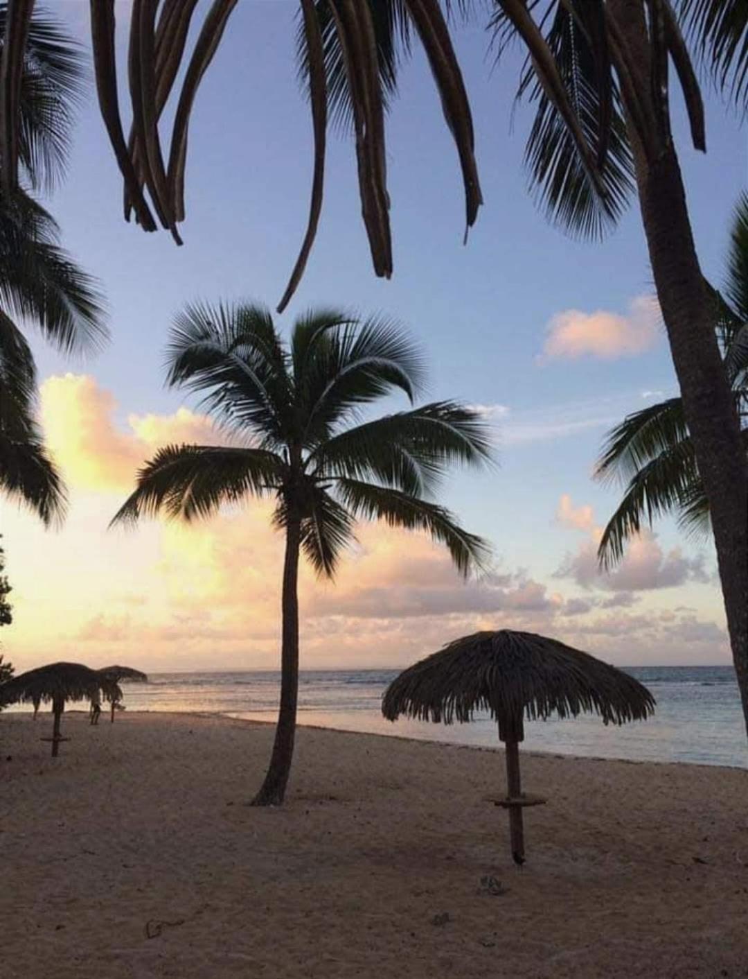 Le Ti'Paradise Anse Des Rochers Belle-Allee Экстерьер фото